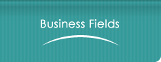 Business Fields