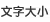 文字大小