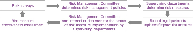 Risk Management Process