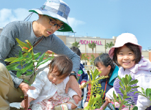 Planting trees