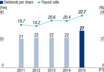 Dividend per Share and Payout Ratio