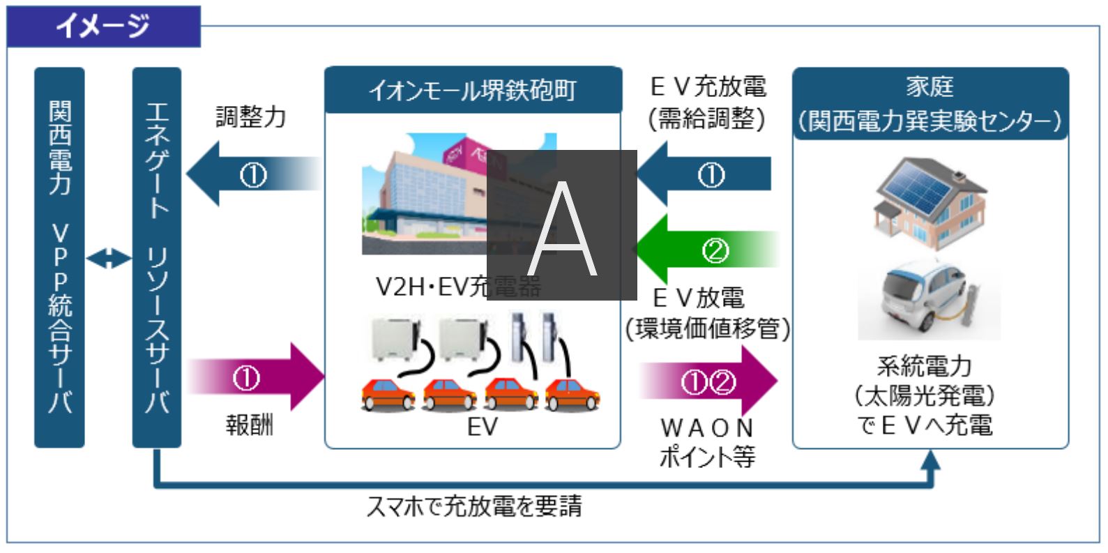 20190725a.jpg