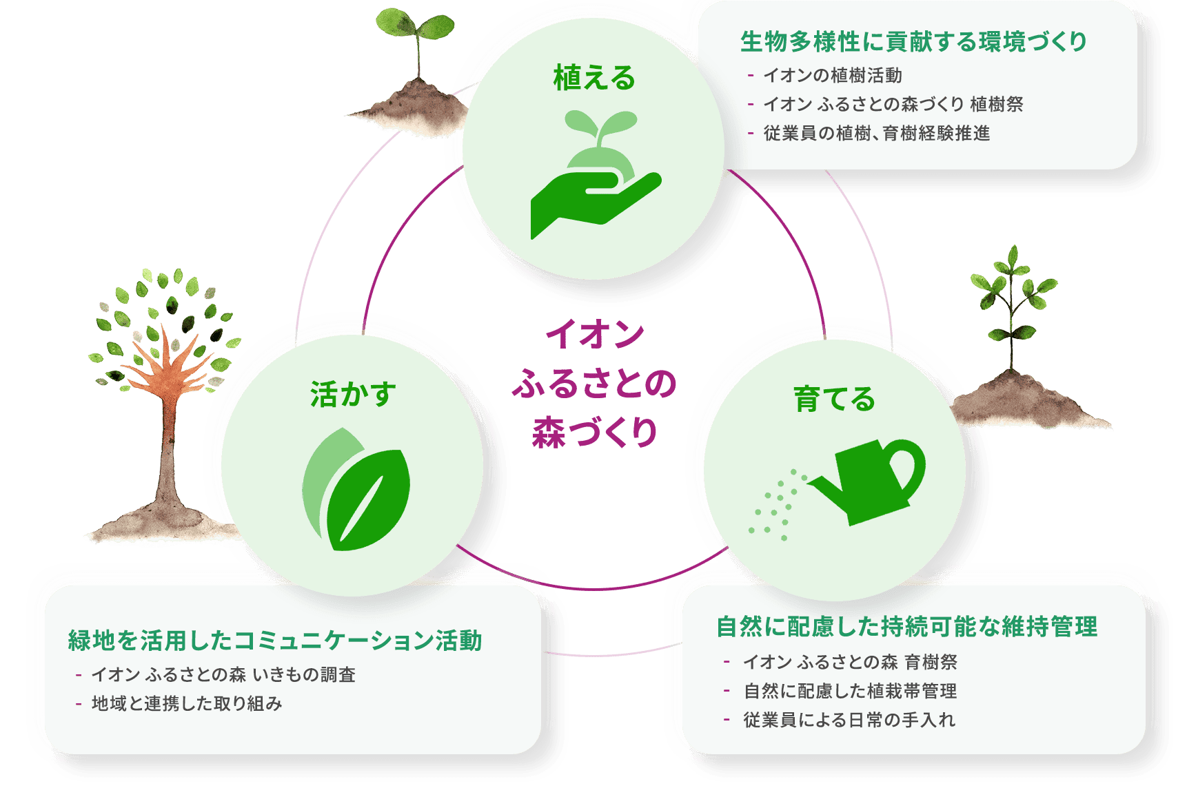 イオン森の循環プログラムの「植える・育てる・活かす」のサイクル