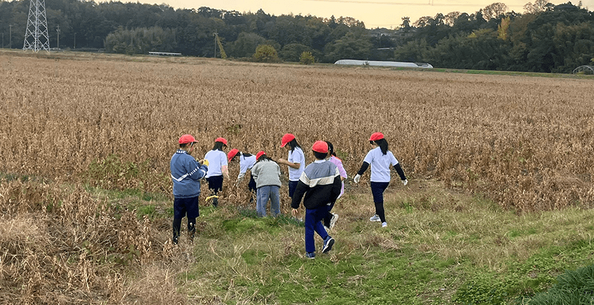 畑で子どもたちが収穫体験をしている様子