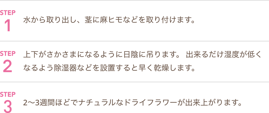 STEP1 水から取り出し、茎に麻ヒモなどを取り付けます。 STEP2 上下がさかさまになるように日陰に吊ります。出来るだけ湿度が低くなるよう除湿器などを設置すると早く乾燥します。 STEP3 2～3週間ほどでナチュラルなドライフラワーが出来上がります。