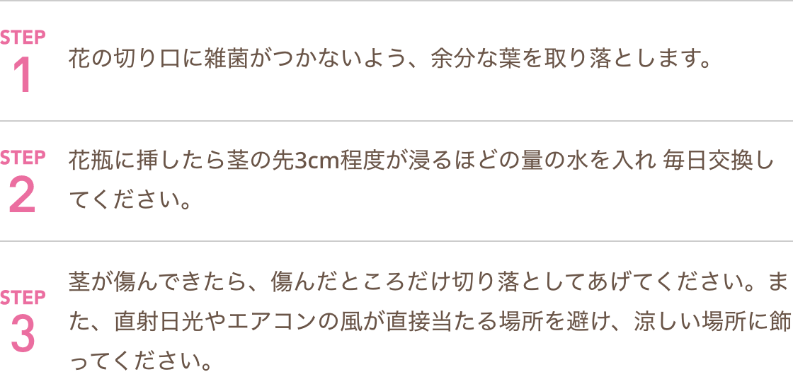 STEP1 花の切り口に雑菌がつかないよう、余分な葉を取り落とします。 STEP2 花瓶に挿したら茎の先3cm程度が浸るほどの量の水を入れ 毎日交換してください。 STEP3 茎が傷んできたら、傷んだところだけ切り落としてあげてください。また、直射日光やエアコンの風が直接当たる場所を避け、涼しい場所に飾ってください。