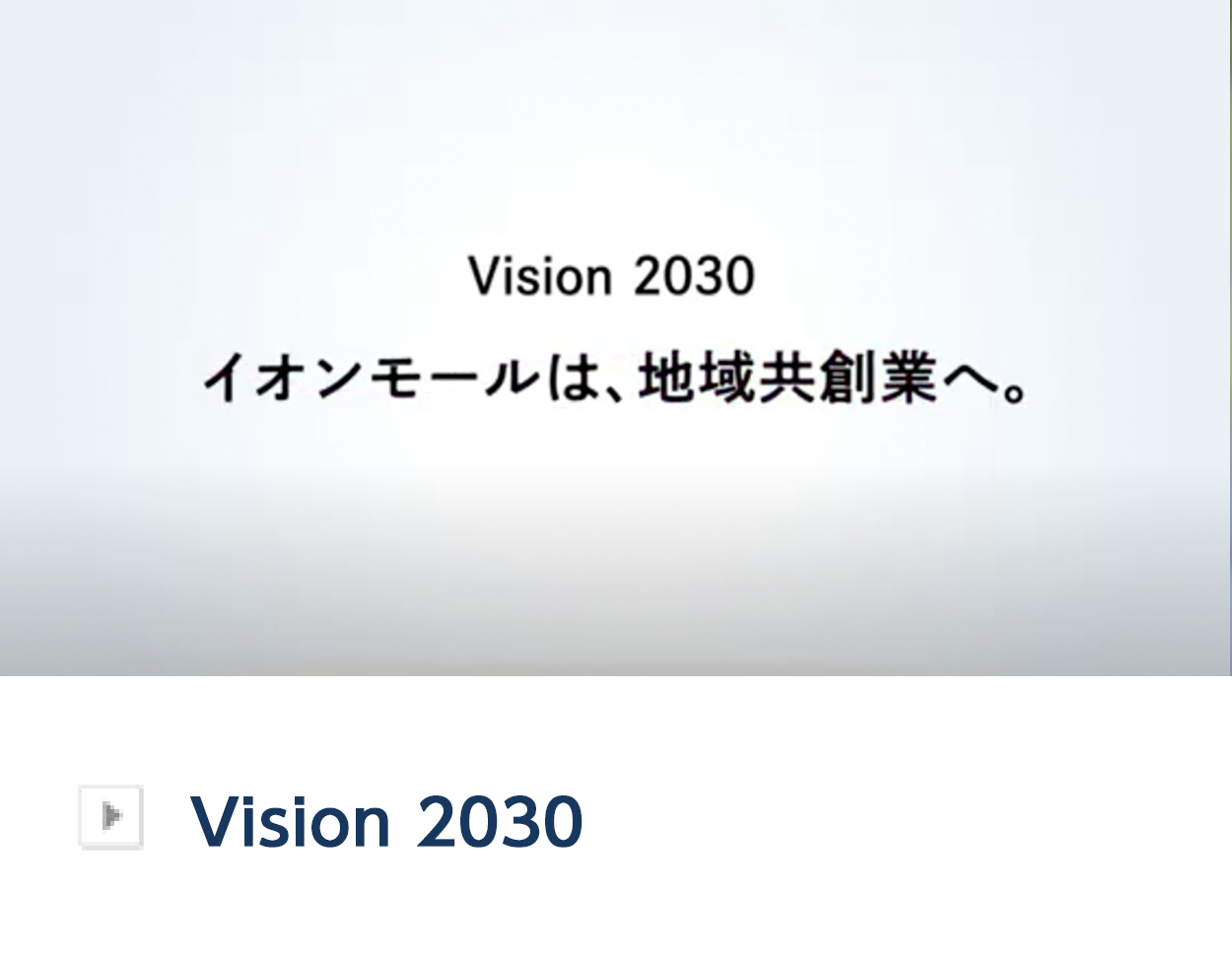 Vision 2030