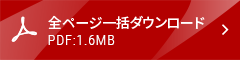 全ページ一括ダウンロード