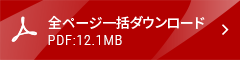 全ページ一括ダウンロード