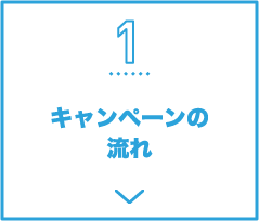 1 キャンペーンの流れ