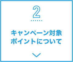2 キャンペーン対象カードについて