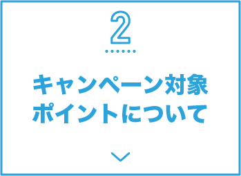 2 キャンペーン対象ポイントについて