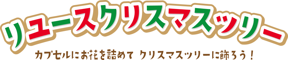 リユースクリスマスツリーカプセルにお花を詰めてクリスマスツリーを飾ろう!