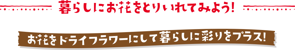 暮らしにお花をとりいれてみよう！お花をドライフラワーにして暮らしに彩りをプラス!