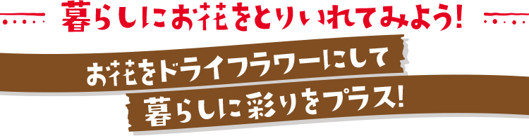 暮らしにお花をとりいれてみよう！お花をドライフラワーにして暮らしに彩りをプラス!