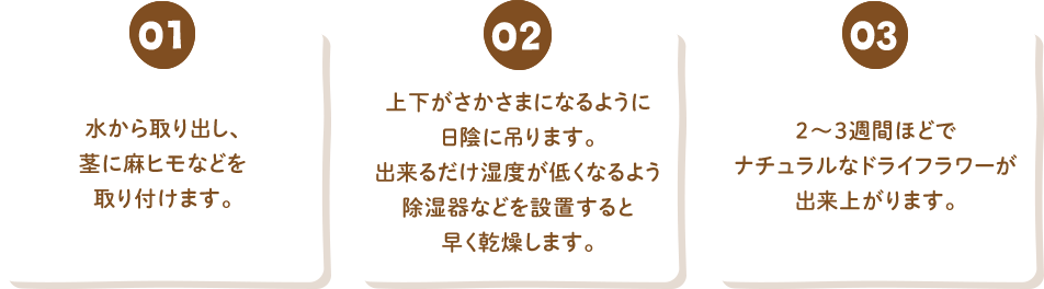 01 水から取り出し、茎に麻ヒモなどを取り付けます。 02 上下がさかさまになるように日陰に吊ります。出来るだけ湿度が低くなるよう除湿器などを設置すると早く乾燥します。  03 2〜3週間ほどでナチュラルなドライフラワーが出来上がります。