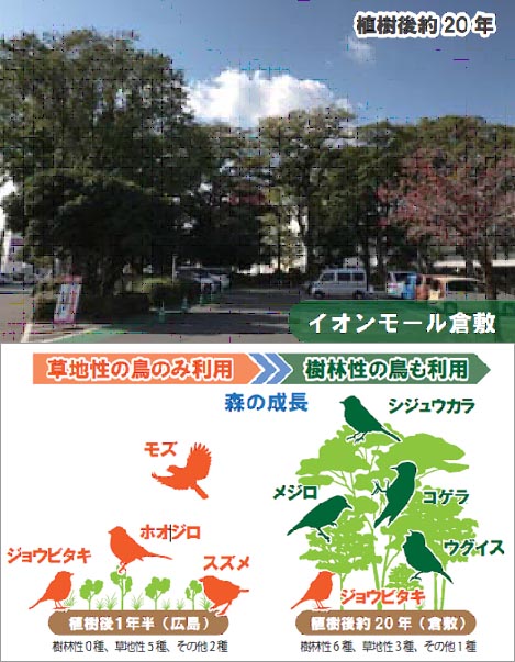 20200605b.jpg